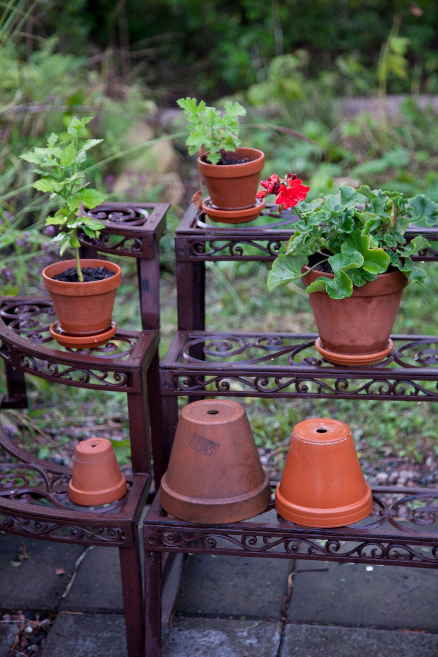 Planting Pots