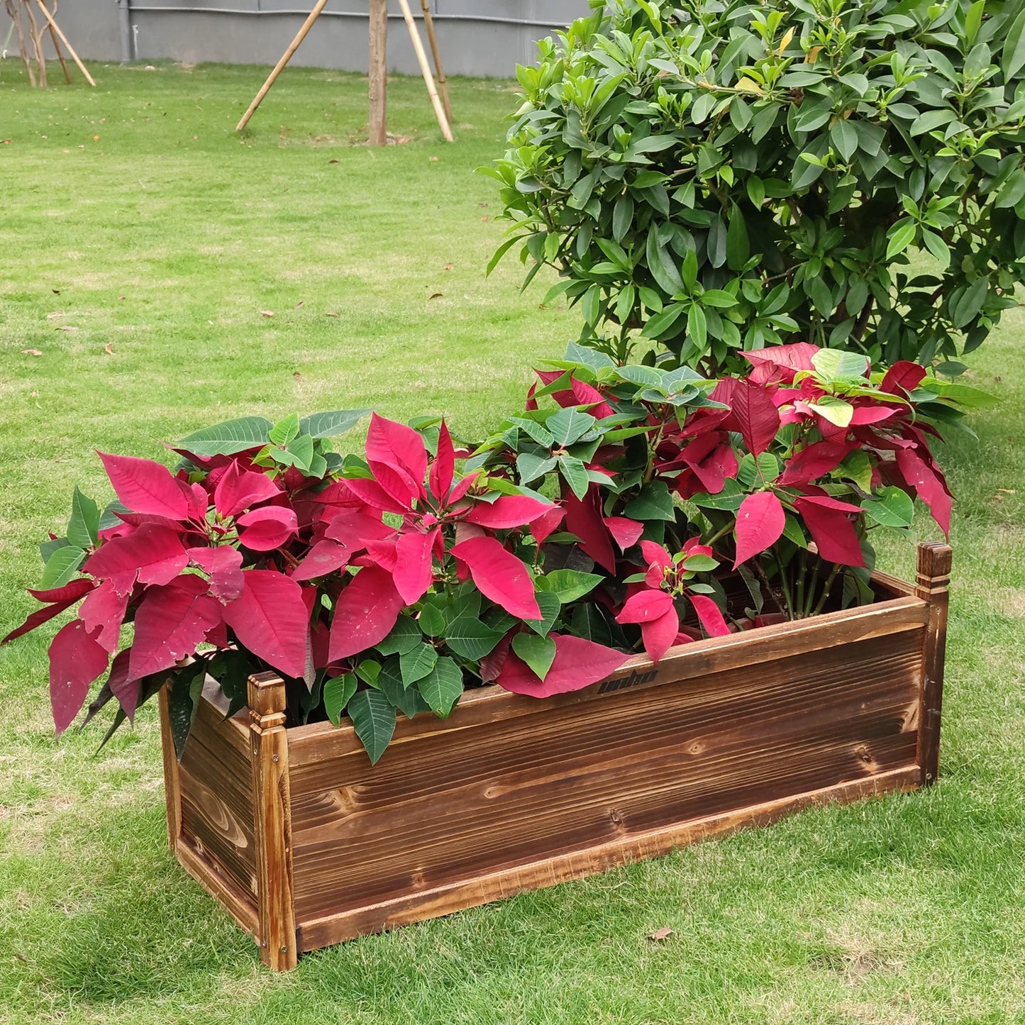 Wooden Window Mounted Planter Box for Garden and Vegetable Plants