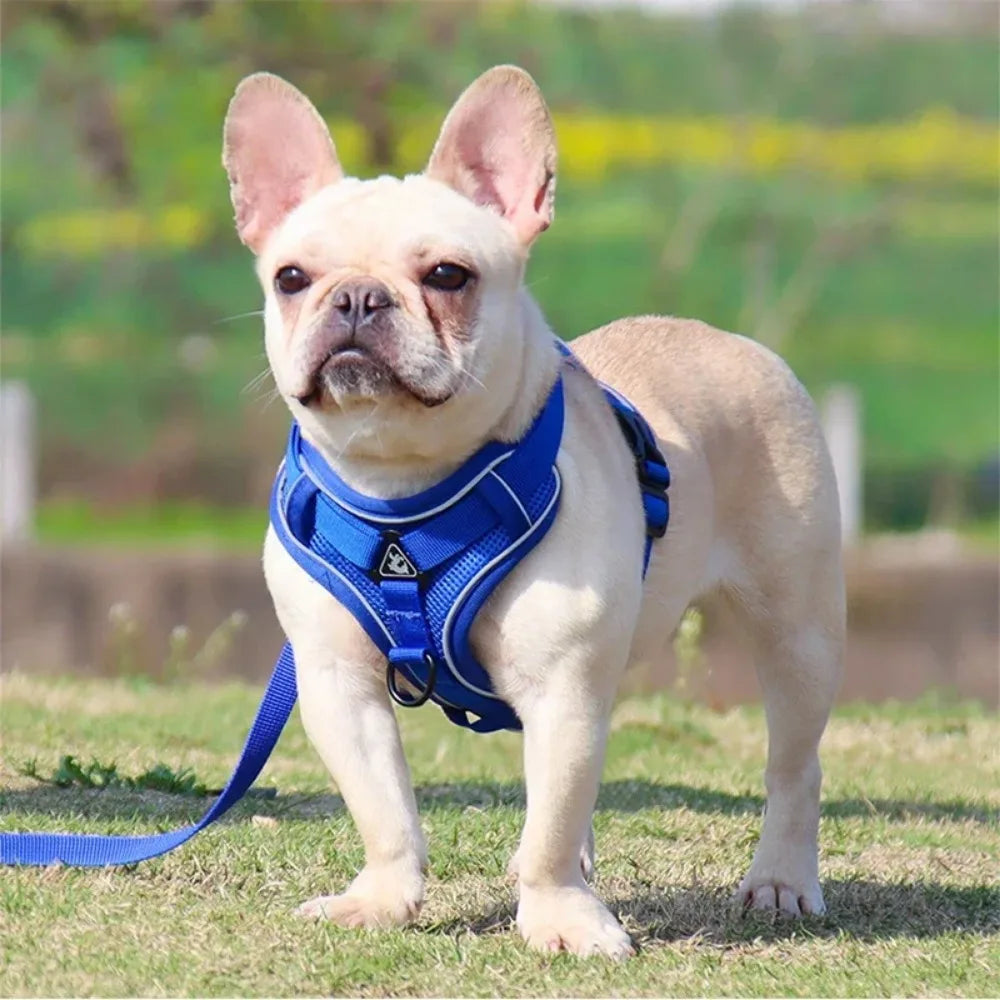 No Pull Dog Harness And Leash Set Reflective Adjustable