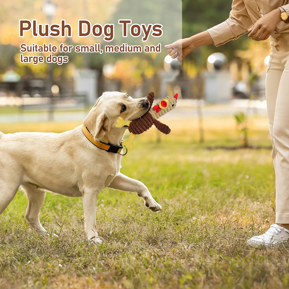 5 Pack Plush Dog Toys Squeaky Assortment For All Dogs