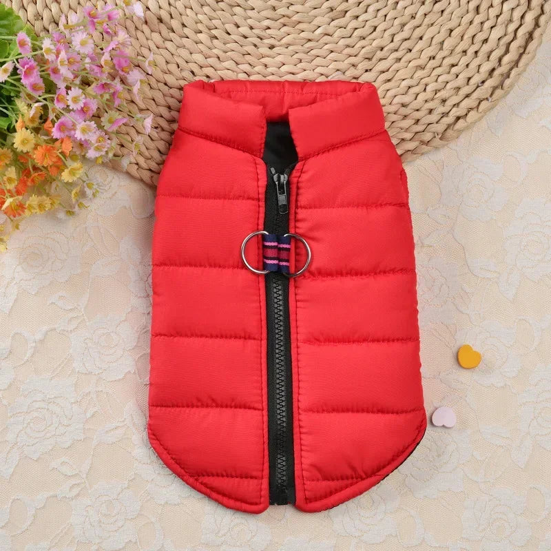 Winter Warm Pet Coat For Small Dogs Windproof Padded Jacket