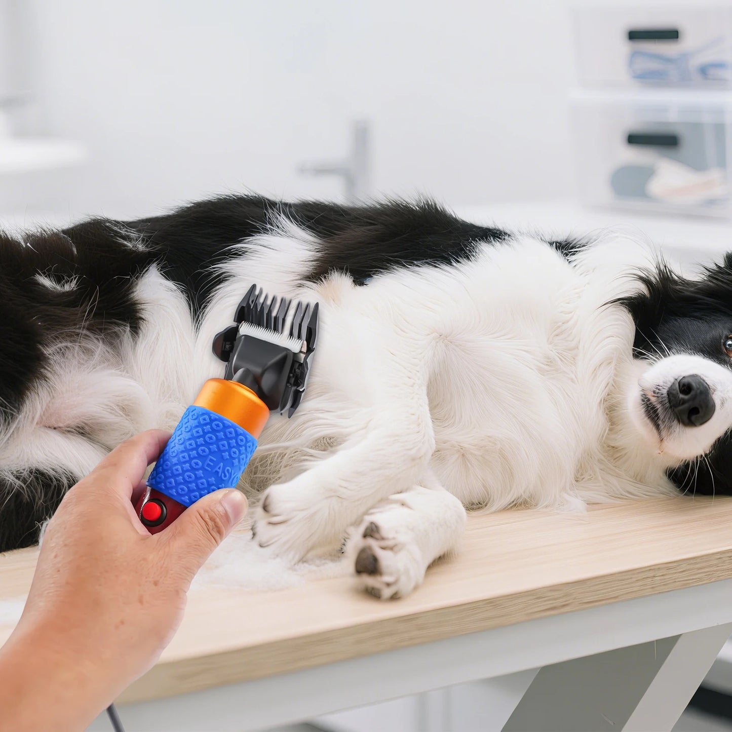 Professional Dog And Cat Hair Clipper Kit