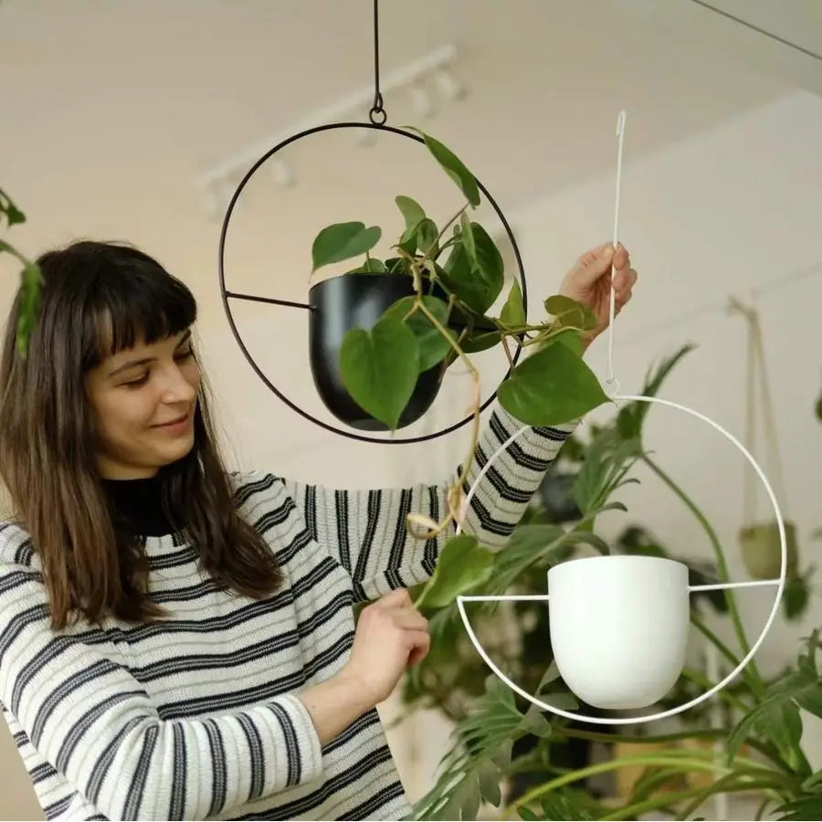 Hanging Planters With Hooks And Chains Iron Modern