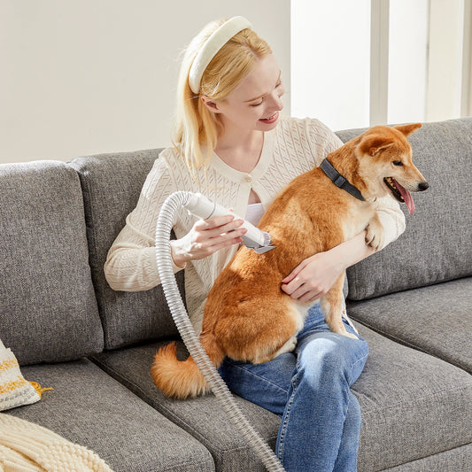 JHK Pet Grooming Vacuum Kit With Clipper Set And Tools