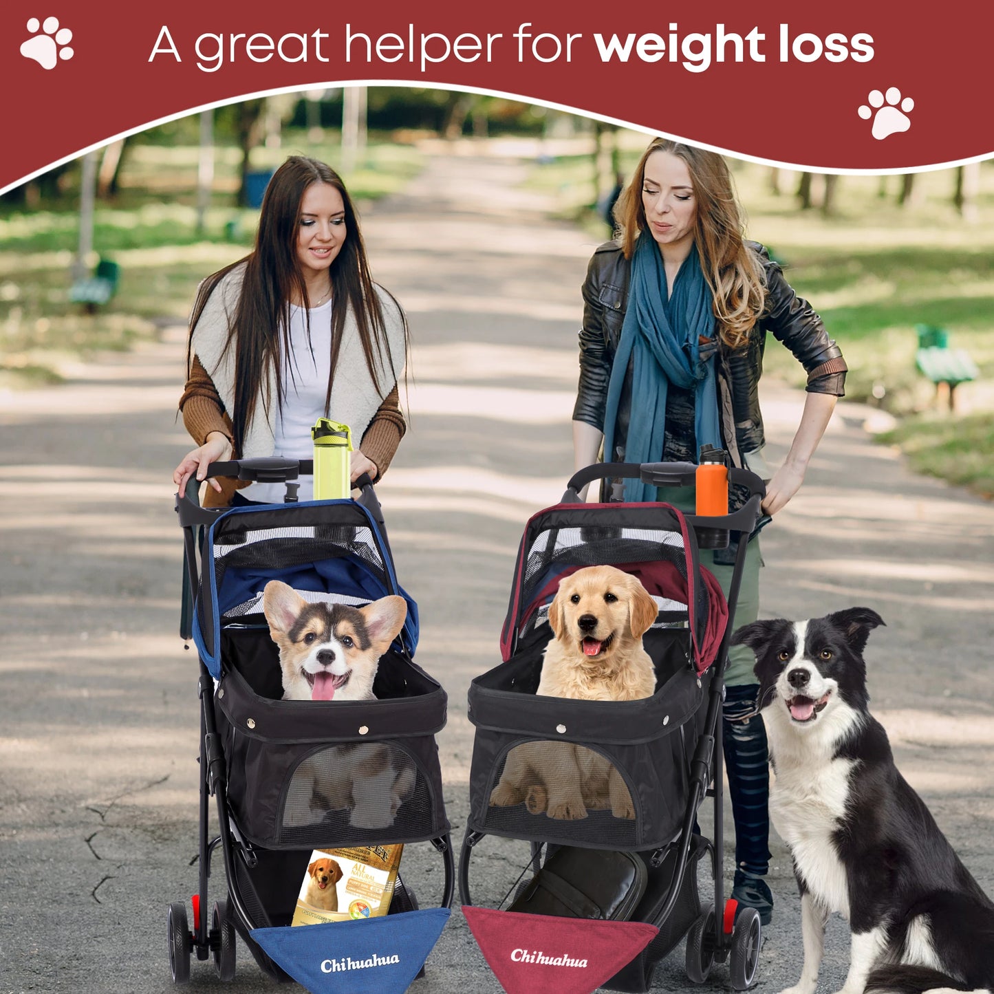 Chihuahua Pet Stroller for Small and Medium Dogs Cats Foldable