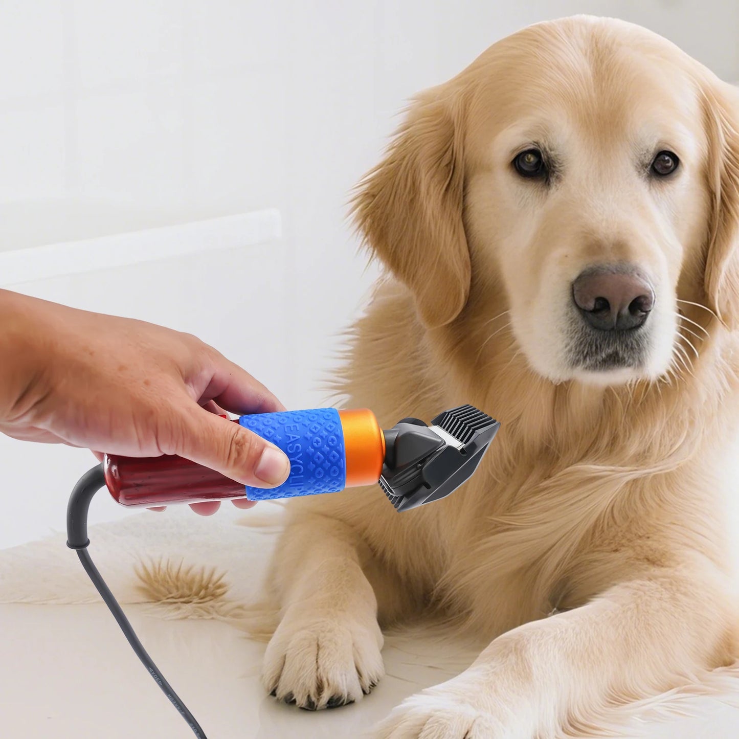Professional Dog And Cat Hair Clipper Kit