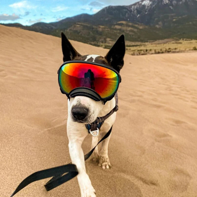 PETRAVEL Dog Goggles Anti UV Sunglasses For Travel Windproof Eyewear