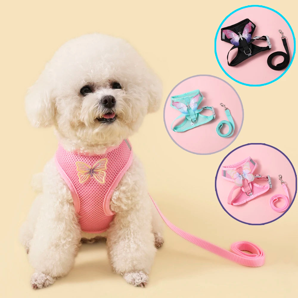 Breathable Cat And Small Dog Harness Set With Butterfly Design