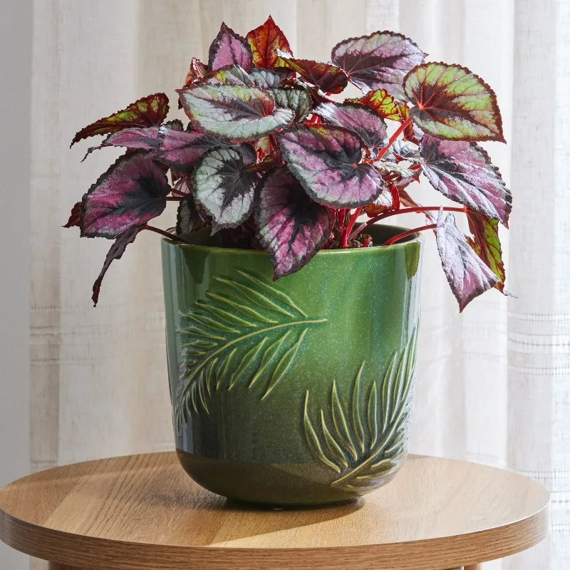 Ceramic Botanical Planter With Green Design For Indoor And Outdoor Use