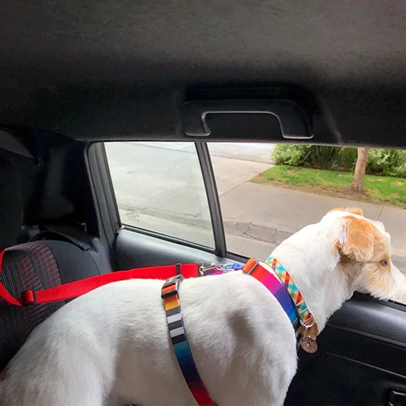 Pet Car Seat Belt and Leash Nylon Adjustable Harness
