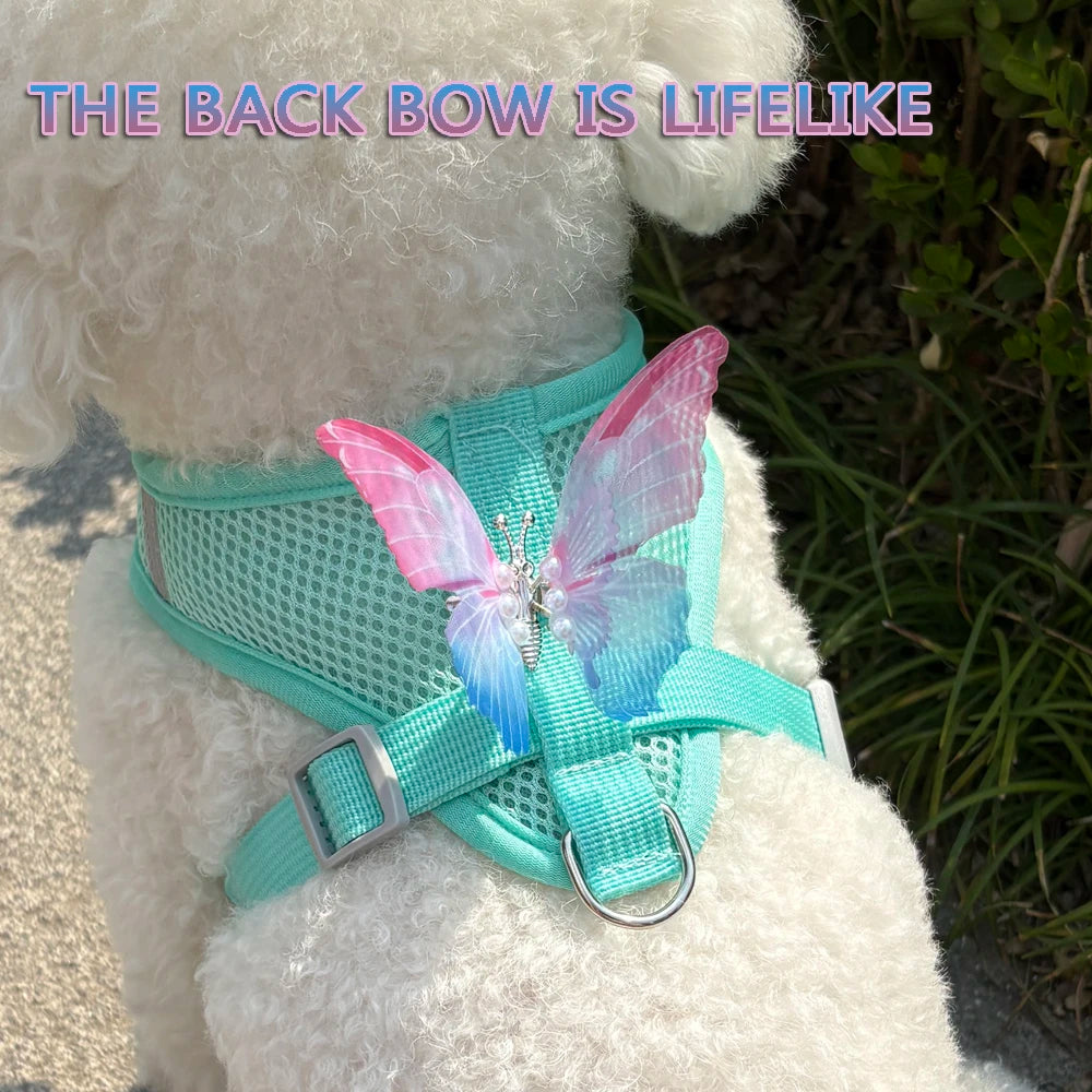 Breathable Cat And Small Dog Harness Set With Butterfly Design