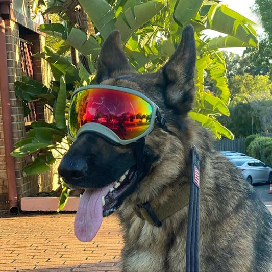 PETRAVEL Dog Goggles Anti UV Sunglasses For Travel Windproof Eyewear