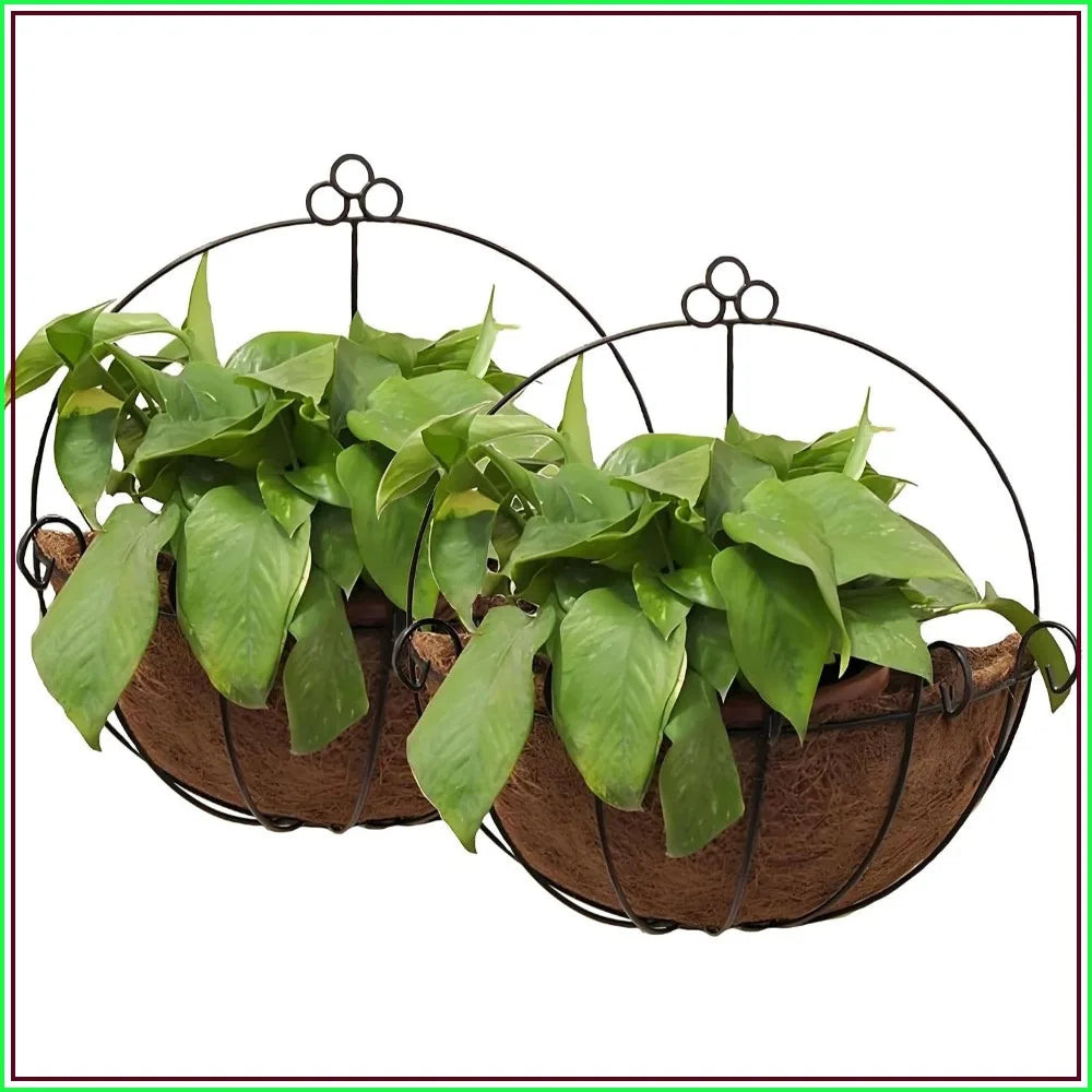 Two Pack Wall Hanging Planter Baskets With Coco Liners For Indoor Outdoor