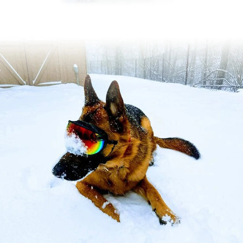 PETRAVEL Dog Goggles Anti UV Sunglasses For Travel Windproof Eyewear