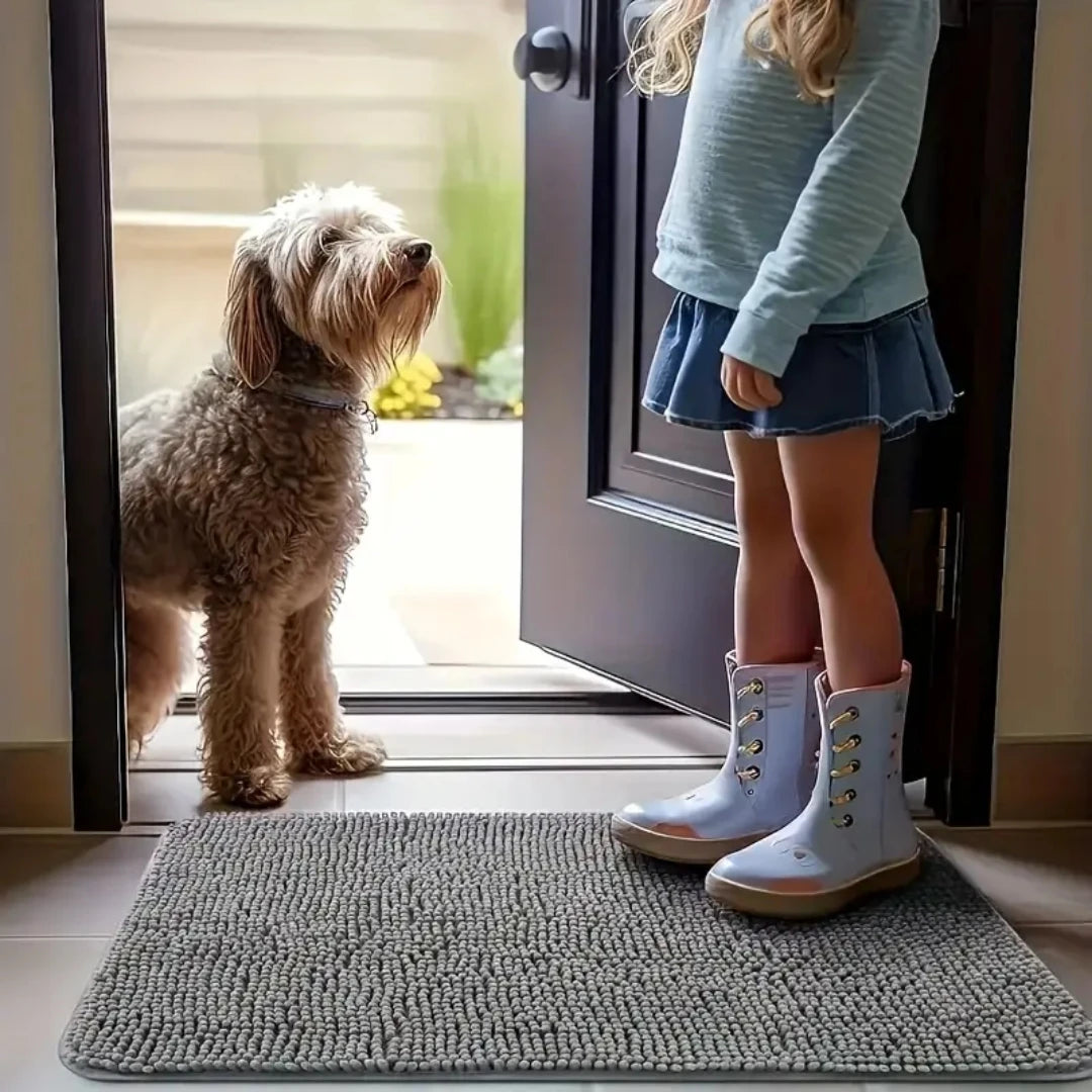 Dog Door Mat Mud Catcher Absorbent Non Slip Indoor Rug
