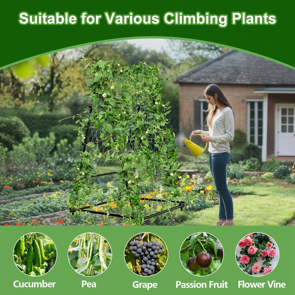 Wisfor A-Shaped Metal Garden Trellis Arch For Climbing Plants