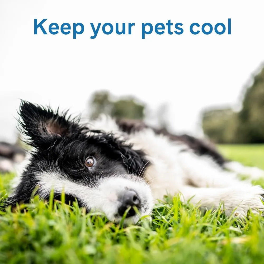 Self Cooling Pet Pad For Dogs And Cats No Water Or Electricity Needed