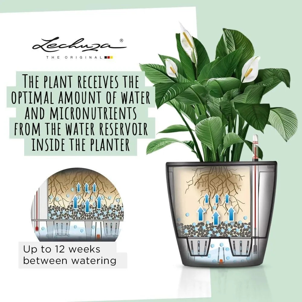 Self-Watering Plant Pot With Drainage Hole Indoor Outdoor Planter