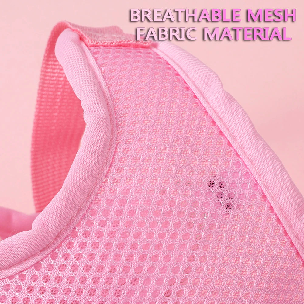 Breathable Cat And Small Dog Harness Set With Butterfly Design