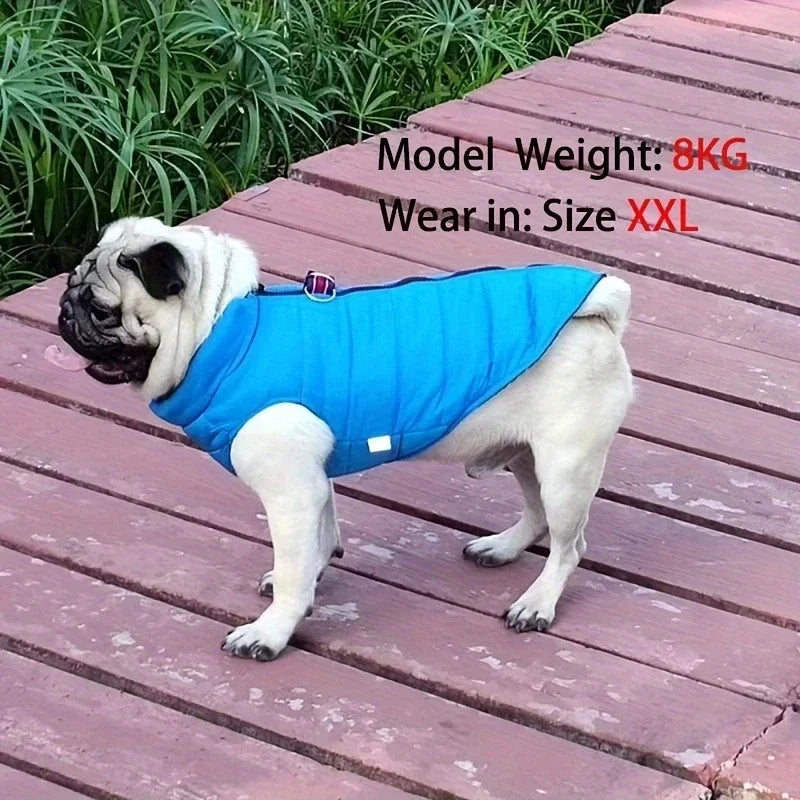 Winter Warm Pet Coat For Small Dogs Windproof Padded Jacket