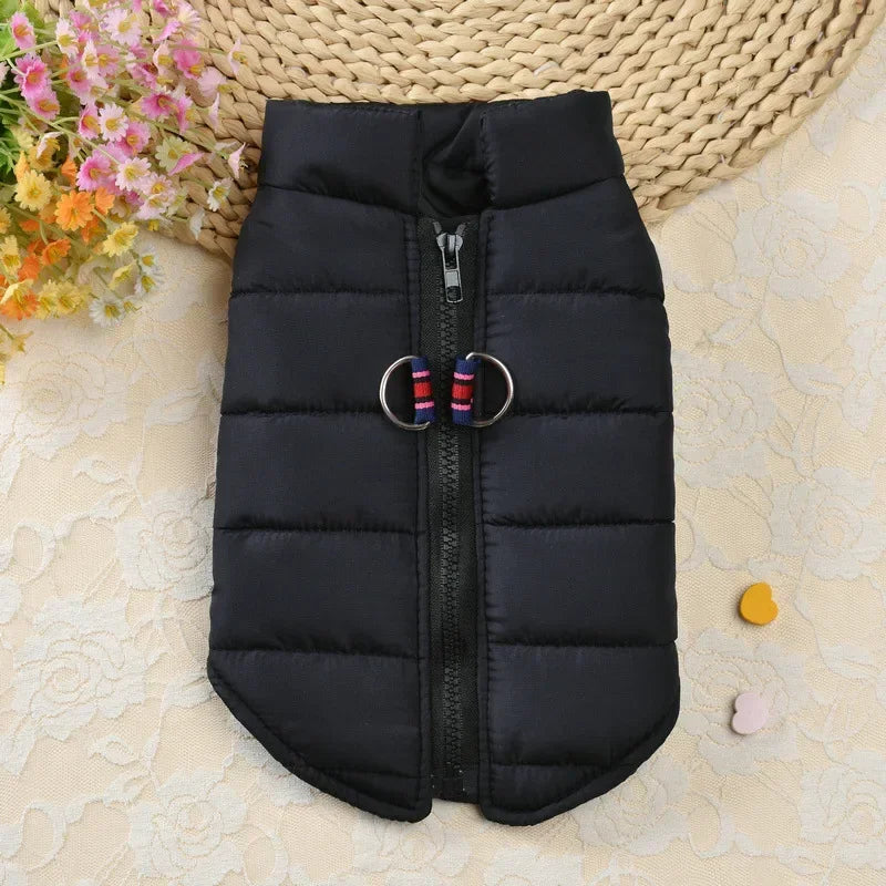 Winter Warm Pet Coat For Small Dogs Windproof Padded Jacket
