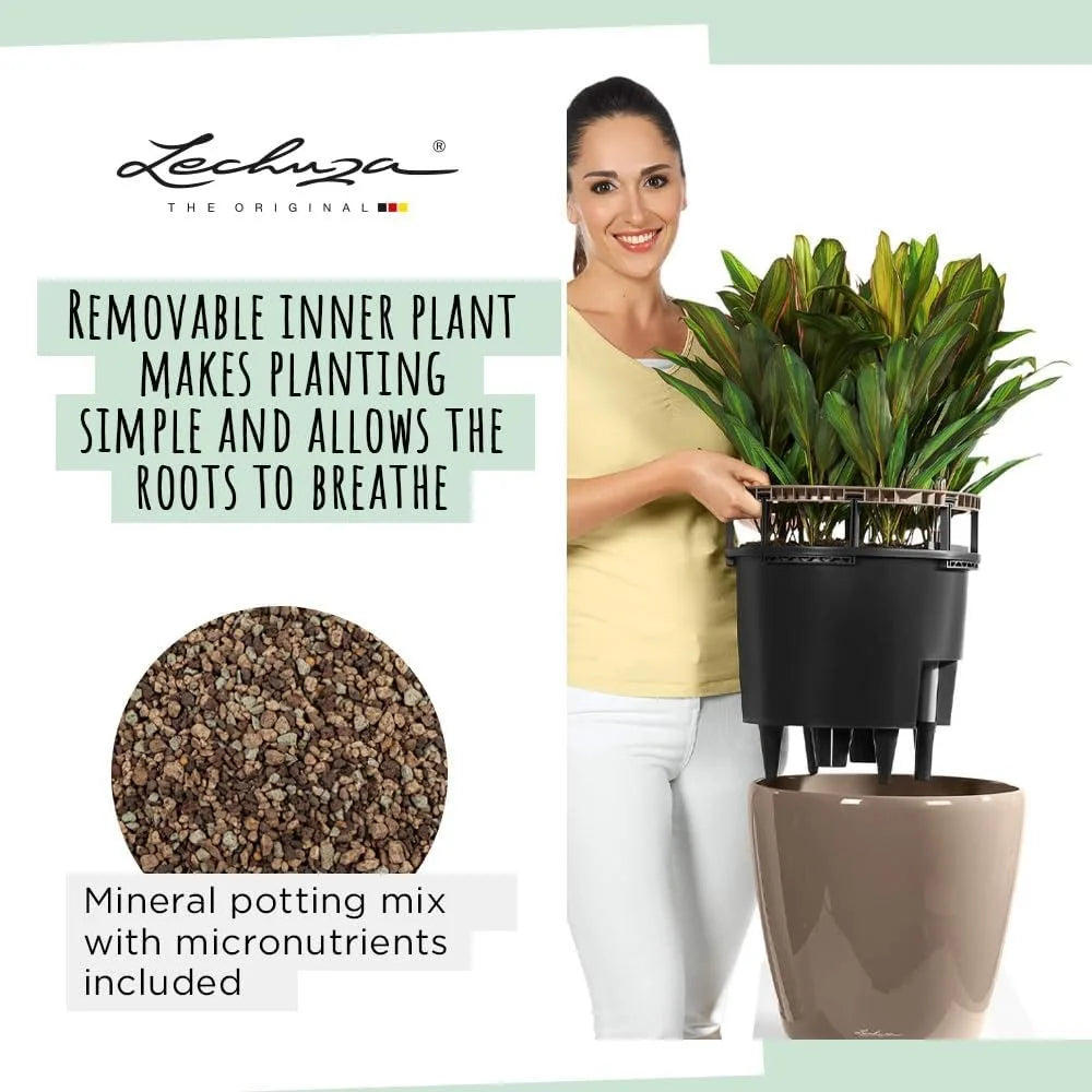 Self-Watering Plant Pot With Drainage Hole Indoor Outdoor Planter