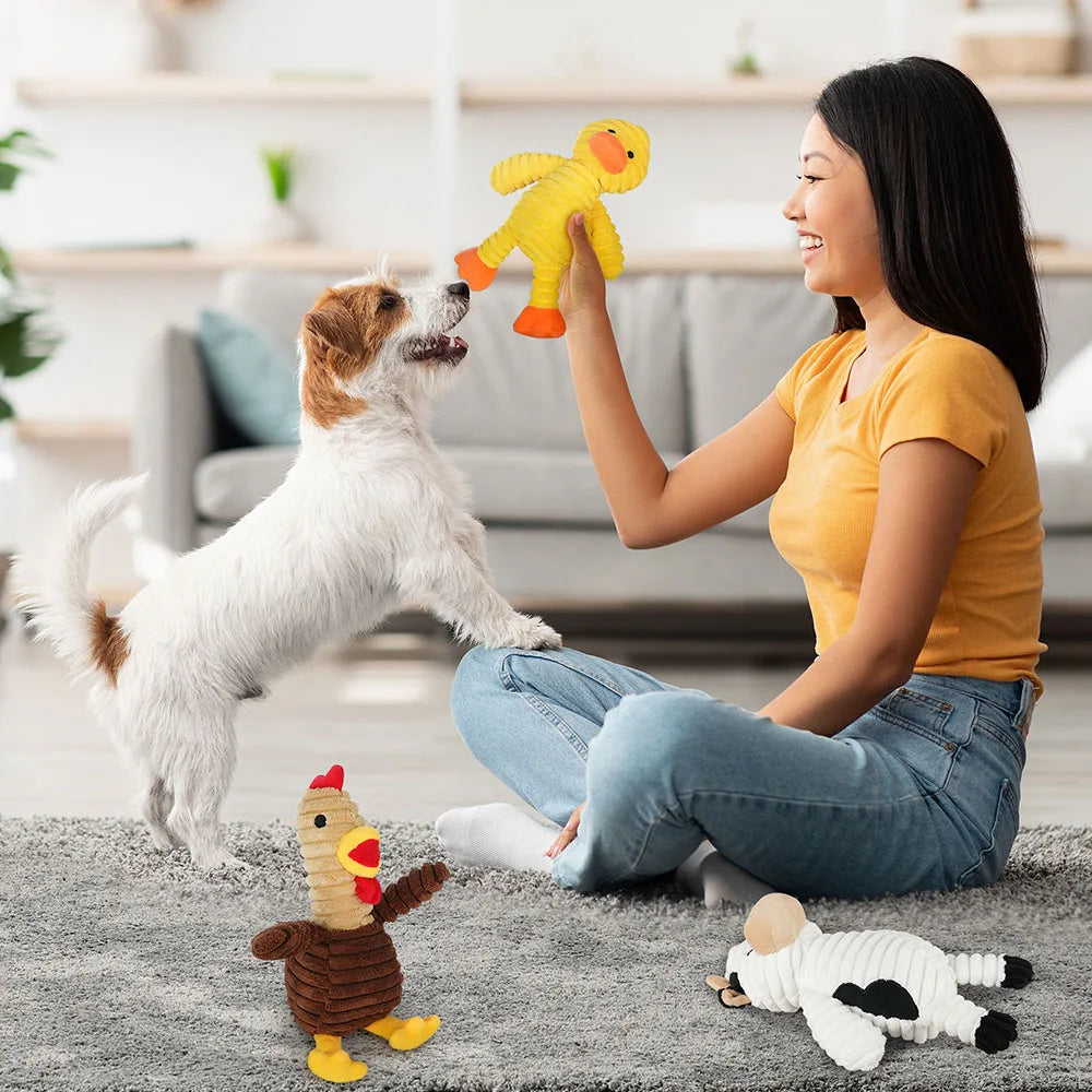 5 Pack Plush Dog Toys Squeaky Assortment For All Dogs