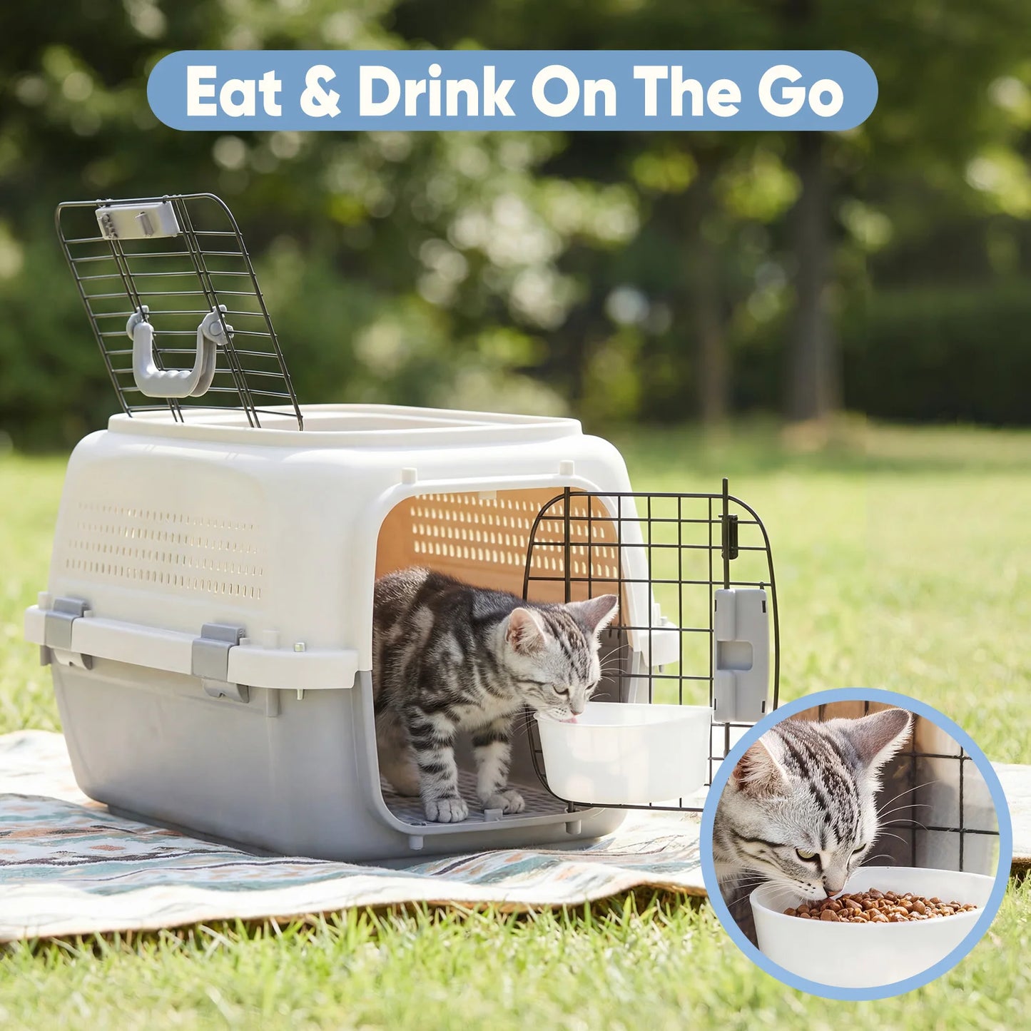 Pet Carrier For Small Dogs And Cats With Front Top Load Wire Door