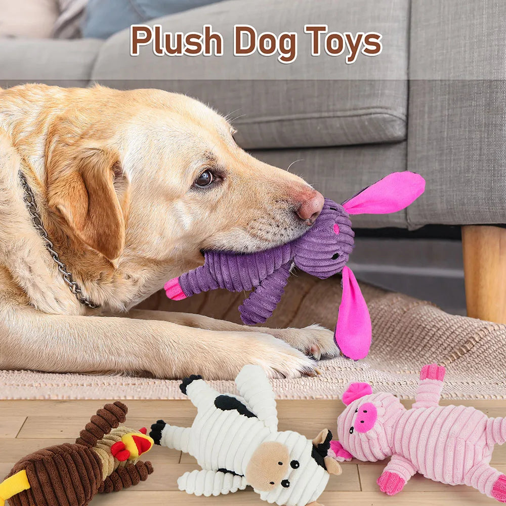 5 Pack Plush Dog Toys Squeaky Assortment For All Dogs