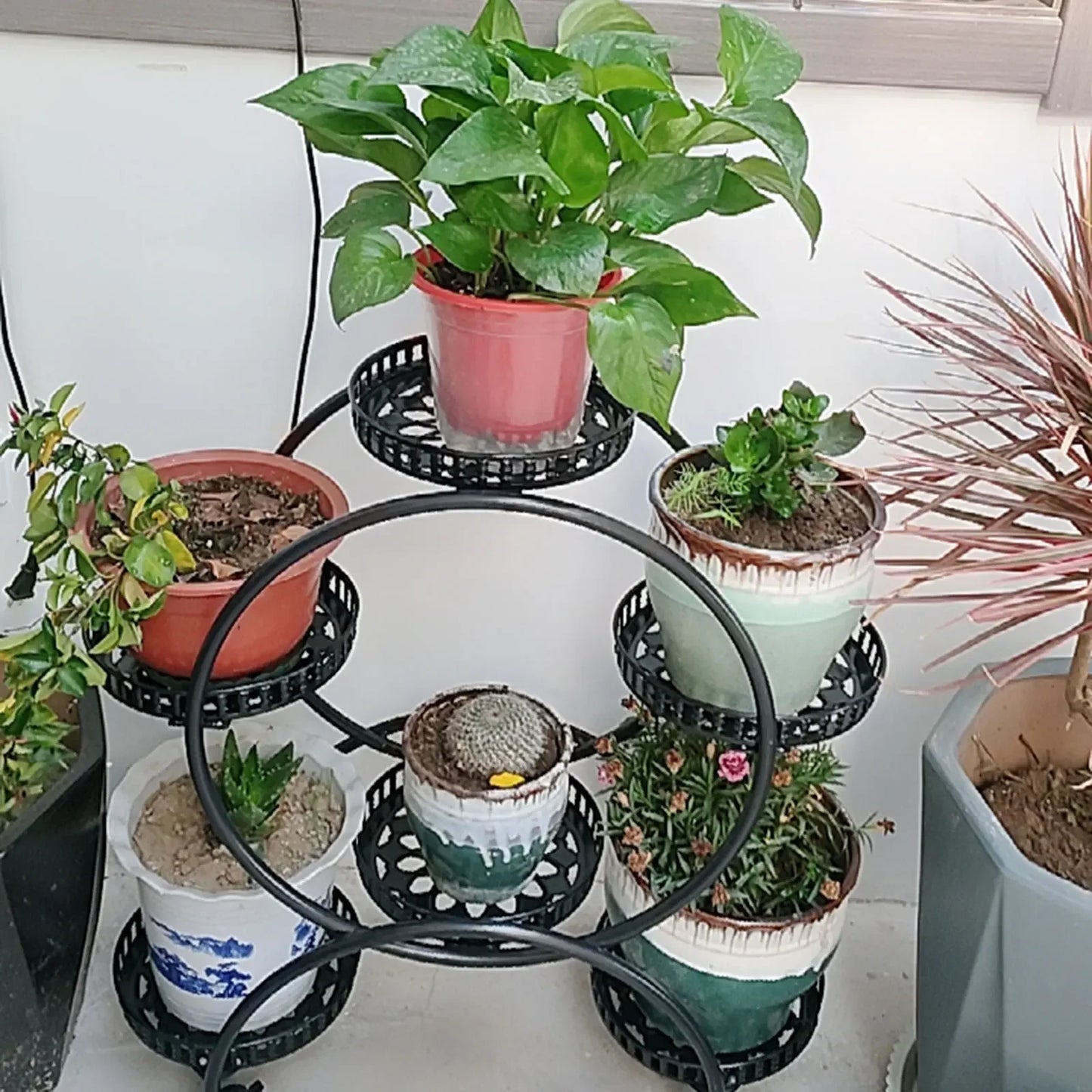 Metal Plant Stand With Six Pots Patio And Living Room